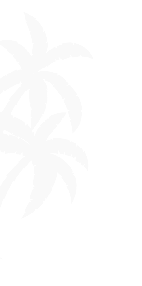 Silhouette of a person leaping in air.